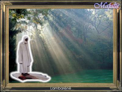 mouhamed